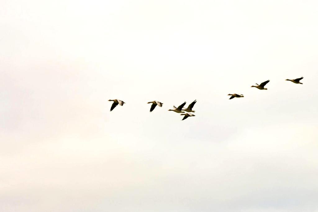 Illustration of cloud migration process with multiple devices